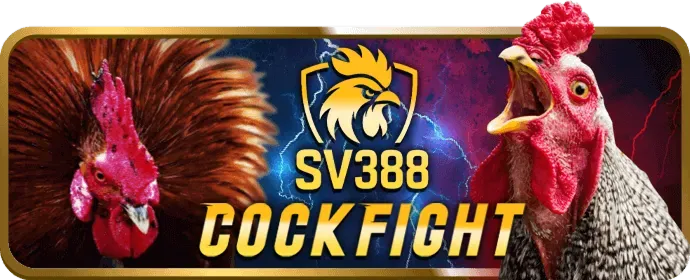Các môn thể thao khác tại hi88vip1 login